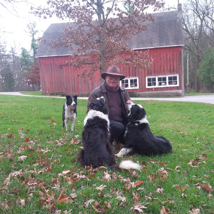 BobDesautels's tweet photo. Bob with #BorderCollies getting ready for day 3! https://t.co/sKzrlfZo9M