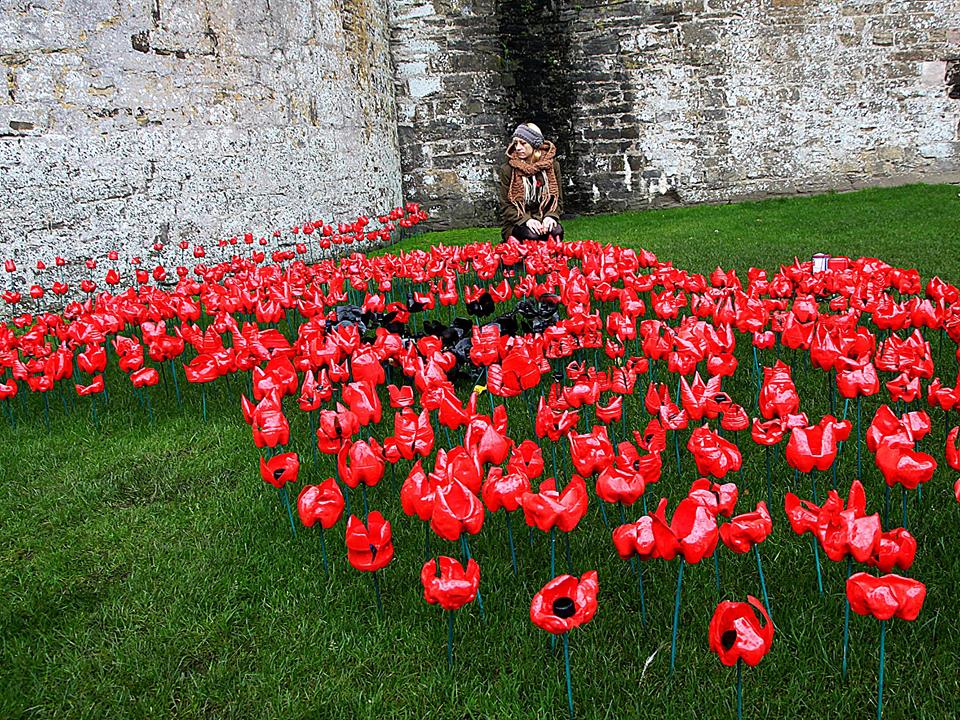 PoppyWorkshops tweet picture