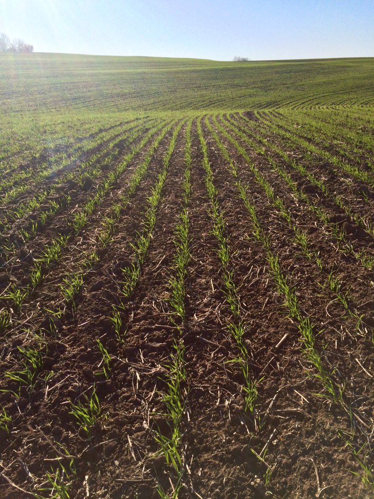 Brandon Fuemmeler tweet media