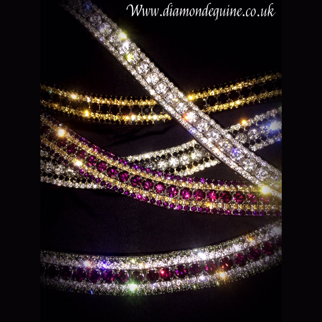 Equiware's tweet image. 'The Newbies'
RT if in love!! We sure are 🦄🦄

#teamdiamond #megabling #diamantebrowband #equestrianaddict