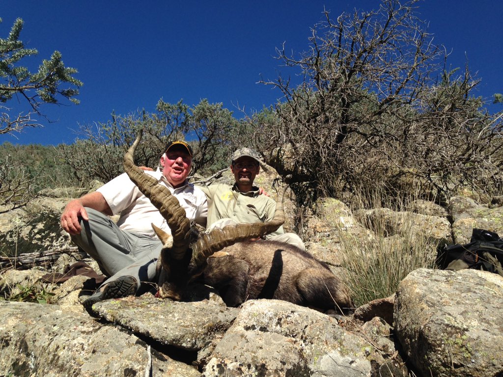 Buen macho de Gredos, enhorabuena Michael!!