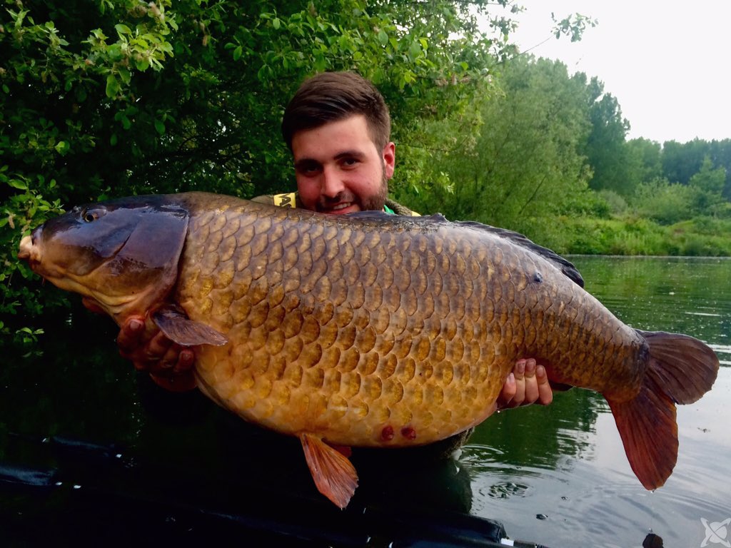 ccmoore_baits's tweet photo. The sought after Big Common at 47lb from Linear St John's. Jack Clews tempted her on an NSpecial over Odyssey XXX! https://t.co/NRIpM3zAGT