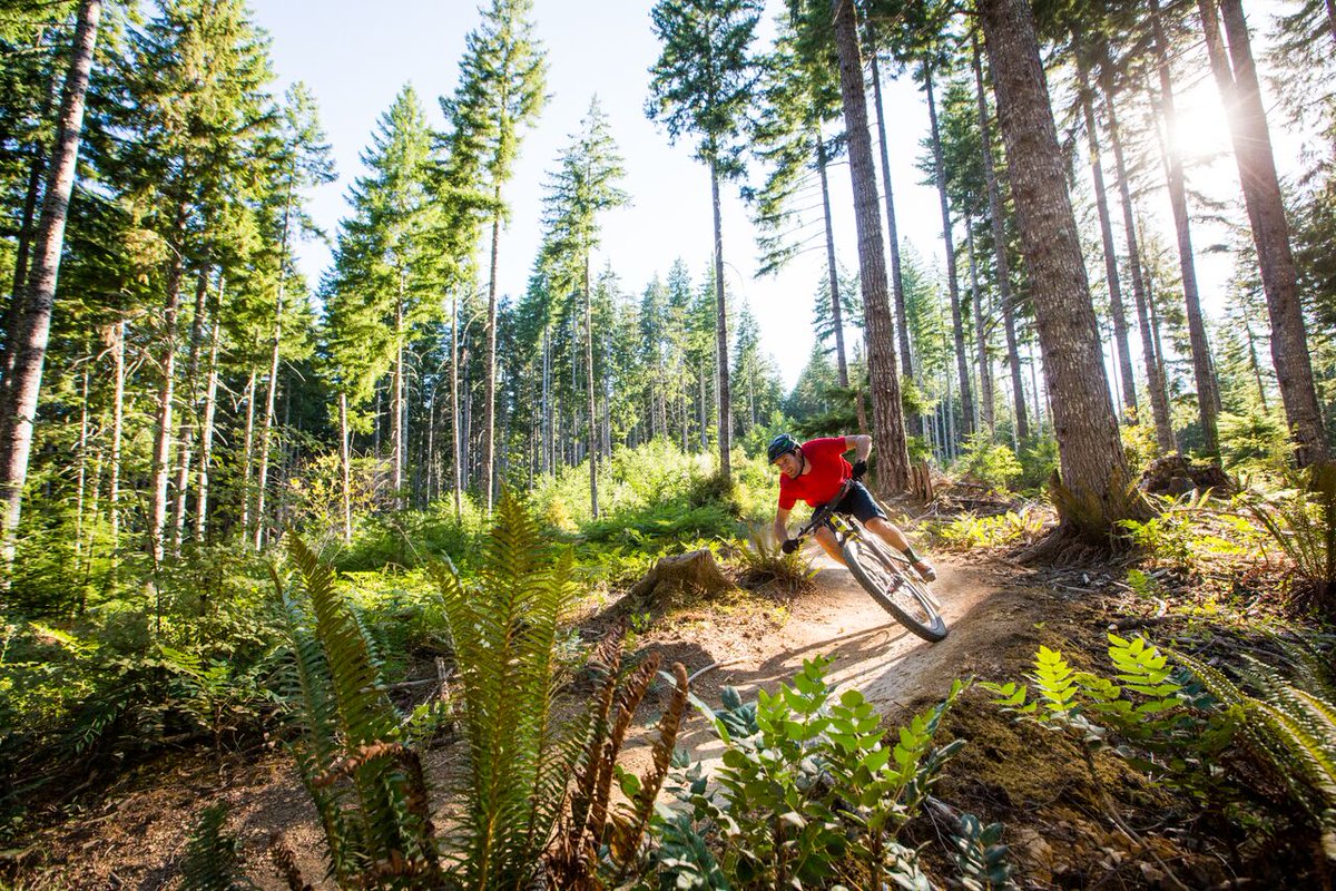 BLMOregon's tweet photo. Great new Outside Mag mountain biking article! https://t.co/YUSu1ldbea #mtb #seeOregon https://t.co/qYEhMOo40d