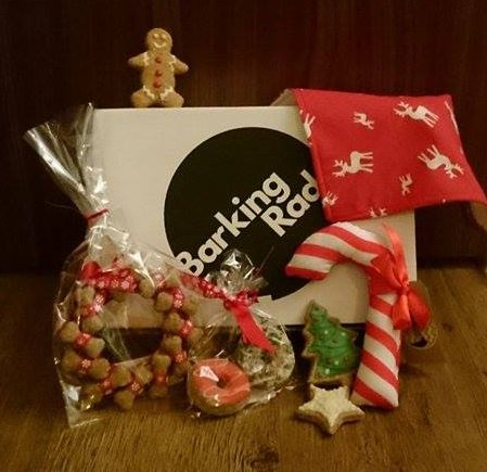 Barking_Rad's tweet photo. Like to bag your dog a #BarkingRad #Xmas box? Follow and RT to enter our #comp. T&amp;C's apply https://t.co/ElsLP8mOLT https://t.co/uxl409UUBF