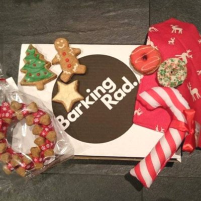 Barking_Rad's tweet photo. Like to bag your dog a #BarkingRad #Xmas box? Follow and RT to enter our #comp. T&amp;C's apply https://t.co/ElsLP8mOLT https://t.co/uxl409UUBF