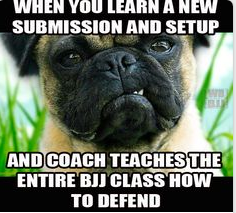 KidsBjj's tweet photo. #JiuJitsu #Humour #fun #skill #sport #cutedog https://t.co/FmQrcc6U5v