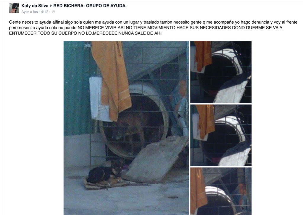 <a href="/pethelpuy/">Pethelpuy</a> <a href="/ASHcomUY/">Animales sin Hogar</a> <a href="/ANMcomUY/">El Portal de las Mascotas</a> <a href="/ANIMALHELPUY/">Mary Brown</a> <a href="/AnimalesUy/">animales perdidos uy</a> @AnimalesUruguay