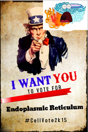 ERKingOfTheCell's tweet photo. #YHSCellVOTE2015 https://t.co/K0RcPmIlRQ