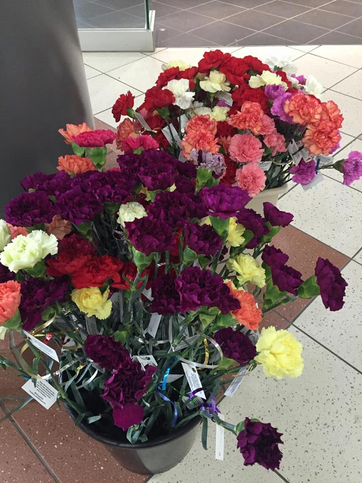 BonnieDoonSC's tweet photo. Lovely ladies handing flowers for #KindnessYEG #flowermobbed #yeg #yegevents #bonniedooncentre #randomactofkindness https://t.co/mbFNejBNOd