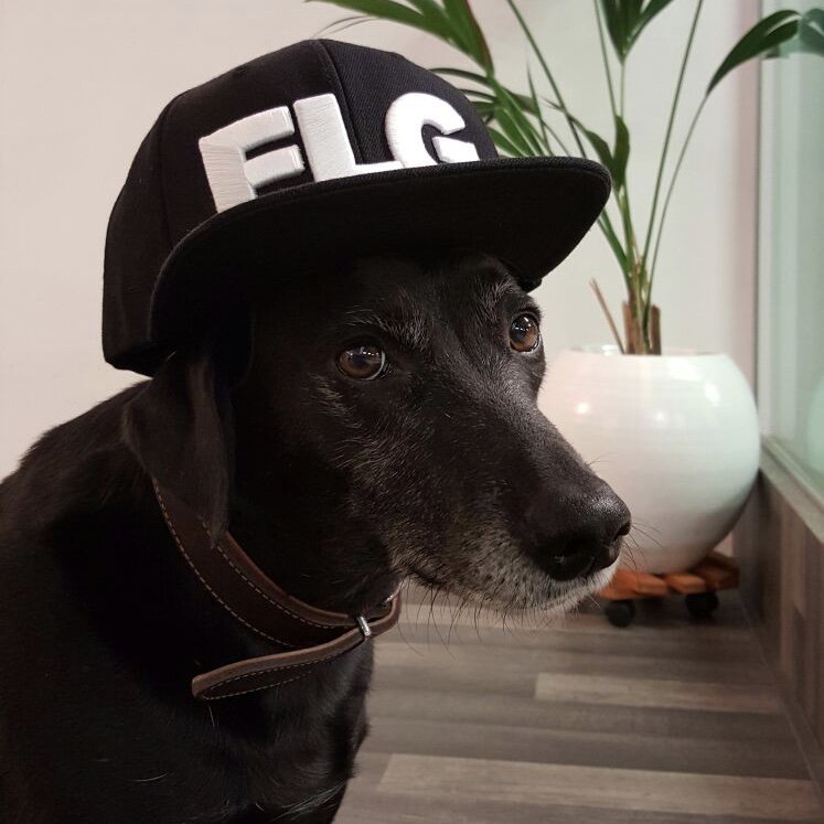 feddelegrand's tweet photo. My biggest fan 😉 https://t.co/WOTaBH939Q