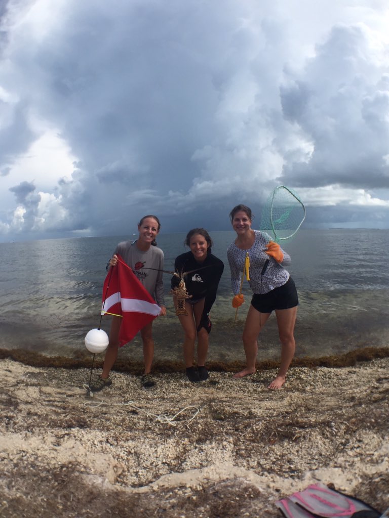 scsscience's tweet image. Teachers do #handson #marine #inquiry off the Sigsbee Naval Base #science #professionaldevelopment #stem