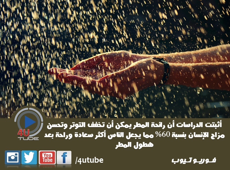 4UTube1's tweet photo. #رائحة_المطر ... 
هل تحبون رائحة المطر ؟؟ .. لستم وحدكم ... 
#4UTube https://t.co/wc7Hr2qHVz