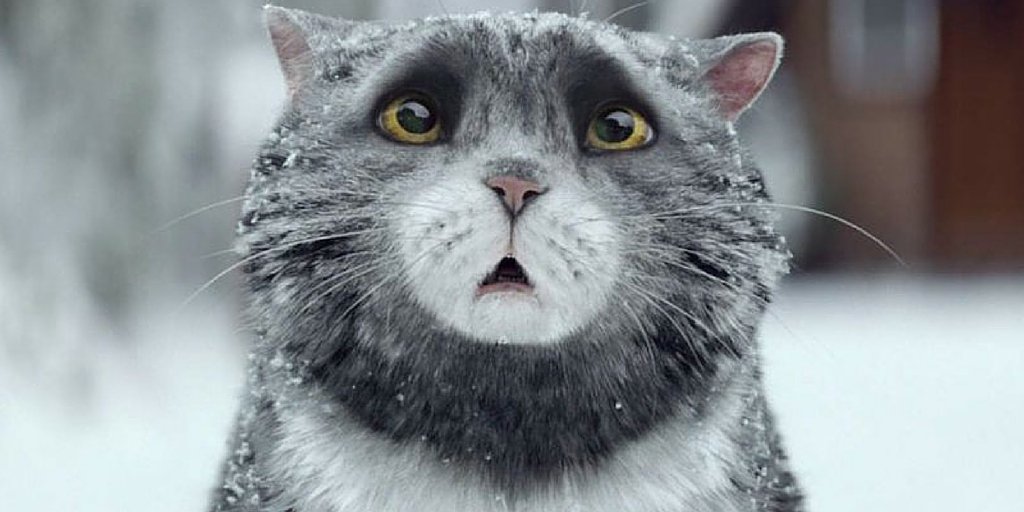 TheDrum's tweet photo. Watch @Sainsburys epic Christmas ad 'Mog's Christmas Calamity' in full here: https://t.co/Dz6BkmaH8X https://t.co/lnrNyBjahT