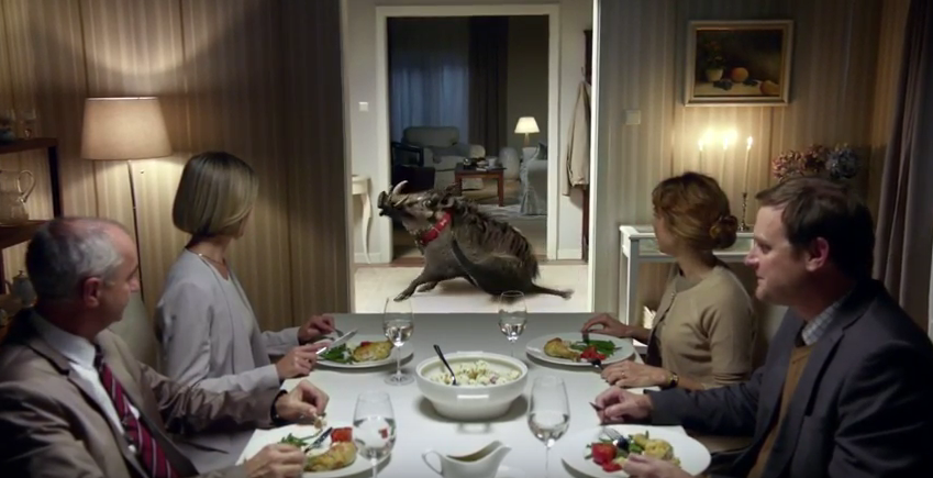 CreativeReview's tweet photo. A hog is for life, not just for Christmas – some lovely touches in the Canal+ seasonal spot https://t.co/iOZ1YdGvkk https://t.co/C9xvJZcfAD