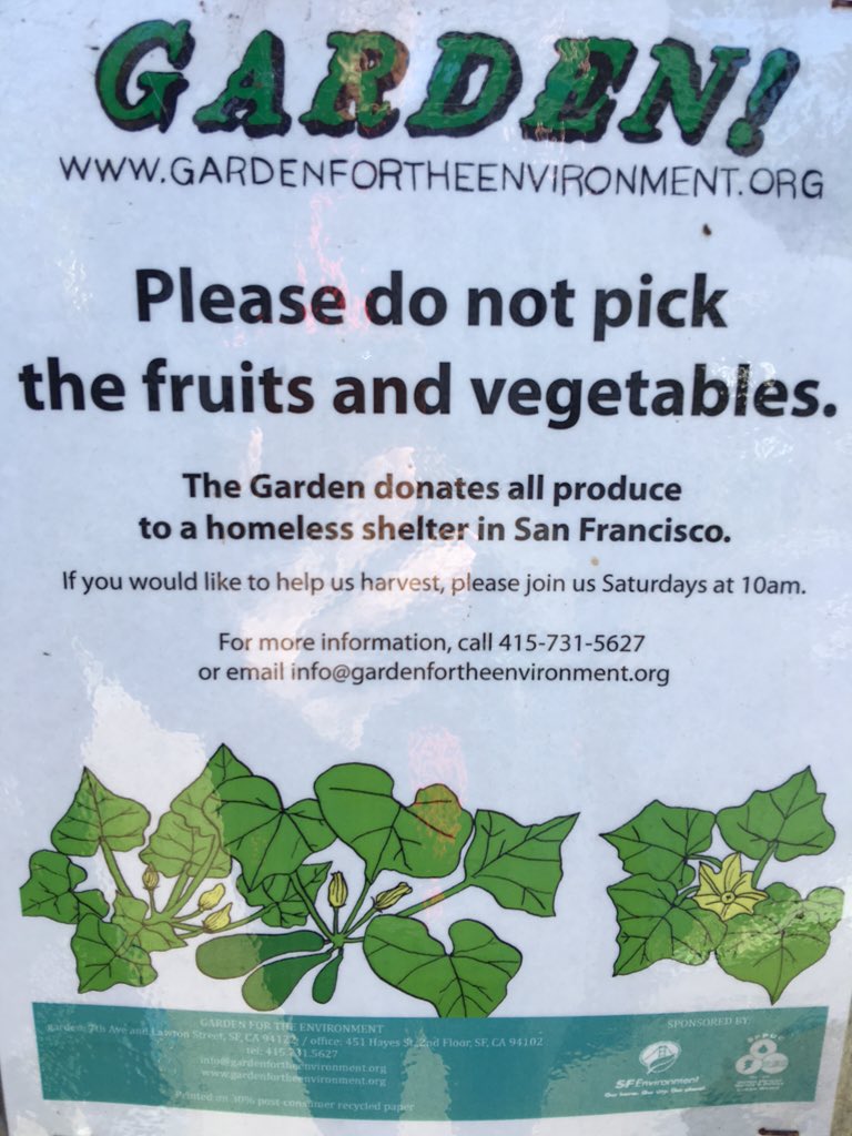 rowantrollope's tweet photo. All produce donated a homeless shelter In San Francisco. #sfenvironment @ciscocollab https://t.co/i7QVSsBx31