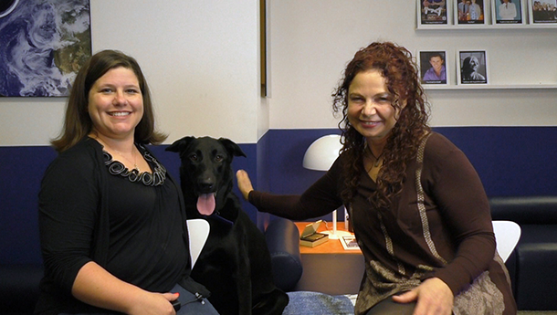 HSWLegal's tweet photo. @KCMarieKnox spoke to @LovethatDogHwd1 about protecting your #pet in event of a tragedy - https://t.co/wI40waCSqE https://t.co/qt2iJuMEuM