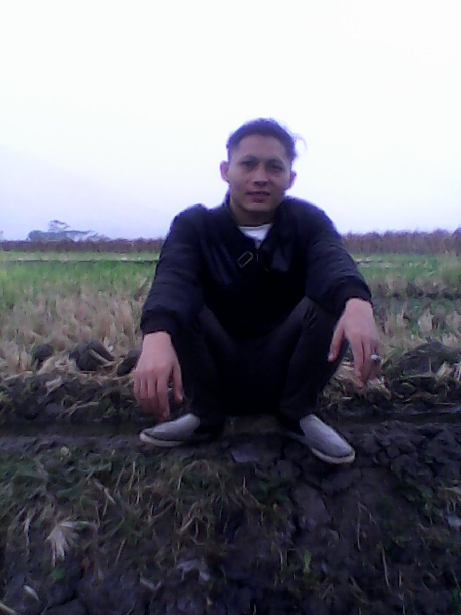 sandi42gmail tweet picture