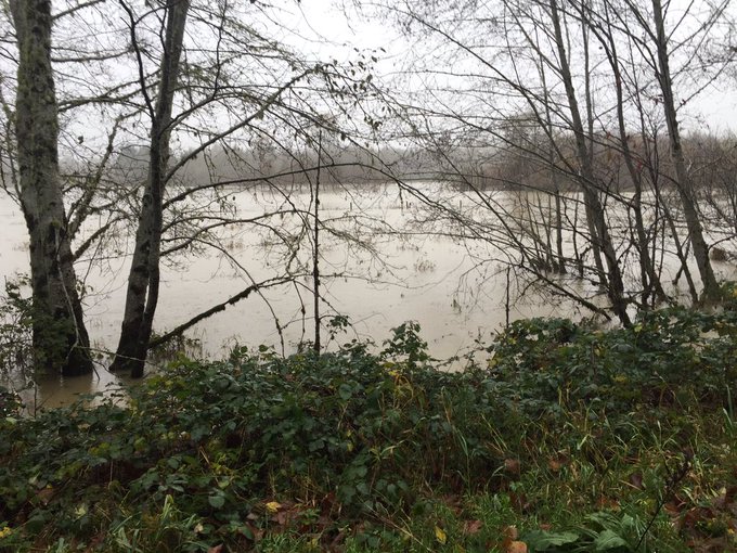 View image on Twitter View image on Twitter