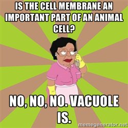 JSVacuole's tweet photo. @OgCelly #CellOrgRace4Prz https://t.co/OuRqcmX2a3