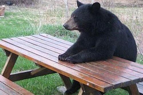 CTtyfQbWEAAqmkU?format=jpg&name=small