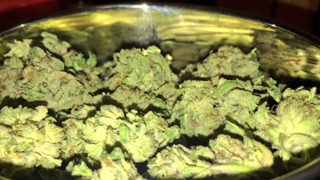 HelloMyStrainIs's tweet photo. Hello My Strain Is Hindu Kush!! 1 of my favs!!
@BudPictures @420 @DankPost @StrainsWeed @BuckNasty63 @JavieGtruGame https://t.co/6ELkzpHWWN