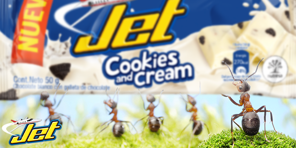 chocolatesjet's tweet photo. 100 hormigas podrías llevarse tu #JetCookiesAndCream, a estos pequeños les encanta su gigante sabor. https://t.co/zWpO9jGvRA