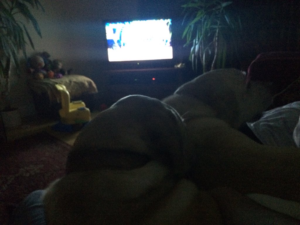 rochebysahara's tweet photo. How did this happen #dogsonsofa https://t.co/Gf1naBmey9