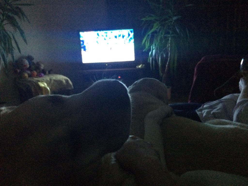 rochebysahara's tweet photo. How did this happen #dogsonsofa https://t.co/Gf1naBmey9