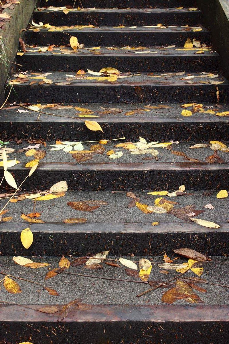 RAThompsonPhoto tweet picture