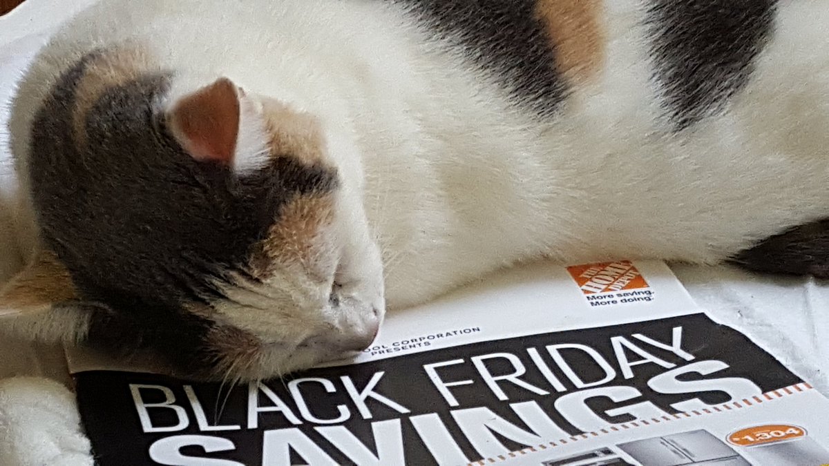 Daisy May dreaming of Black Friday at Home Depot!!!