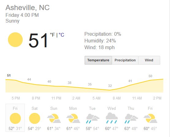 Asheville Treetops tweet media