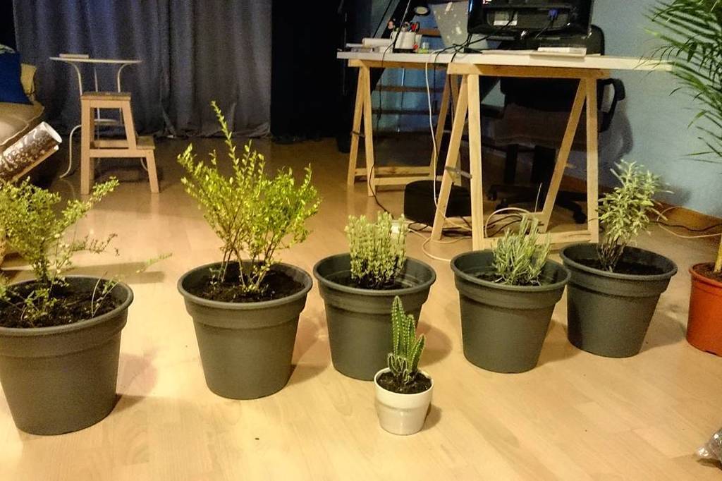 mucholoveCOM's tweet photo. Nuevos y prometedores miembros del equipo🐝New and promising members of the team! 🌈gracias @purificacion_ninaole 😘 https://t.co/s4lYudC7uw