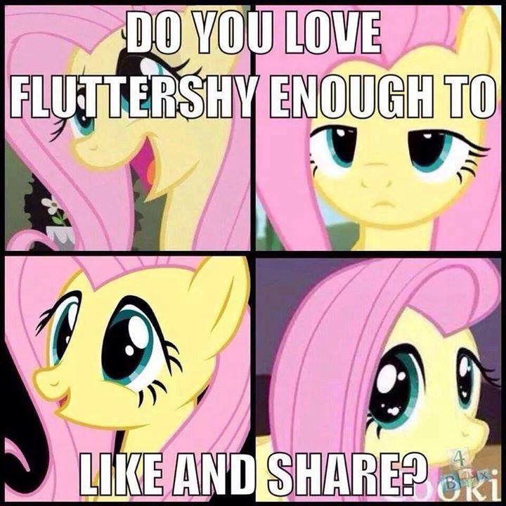 Do you love Fluttershy enough? BronyMate.com ----> Go here!