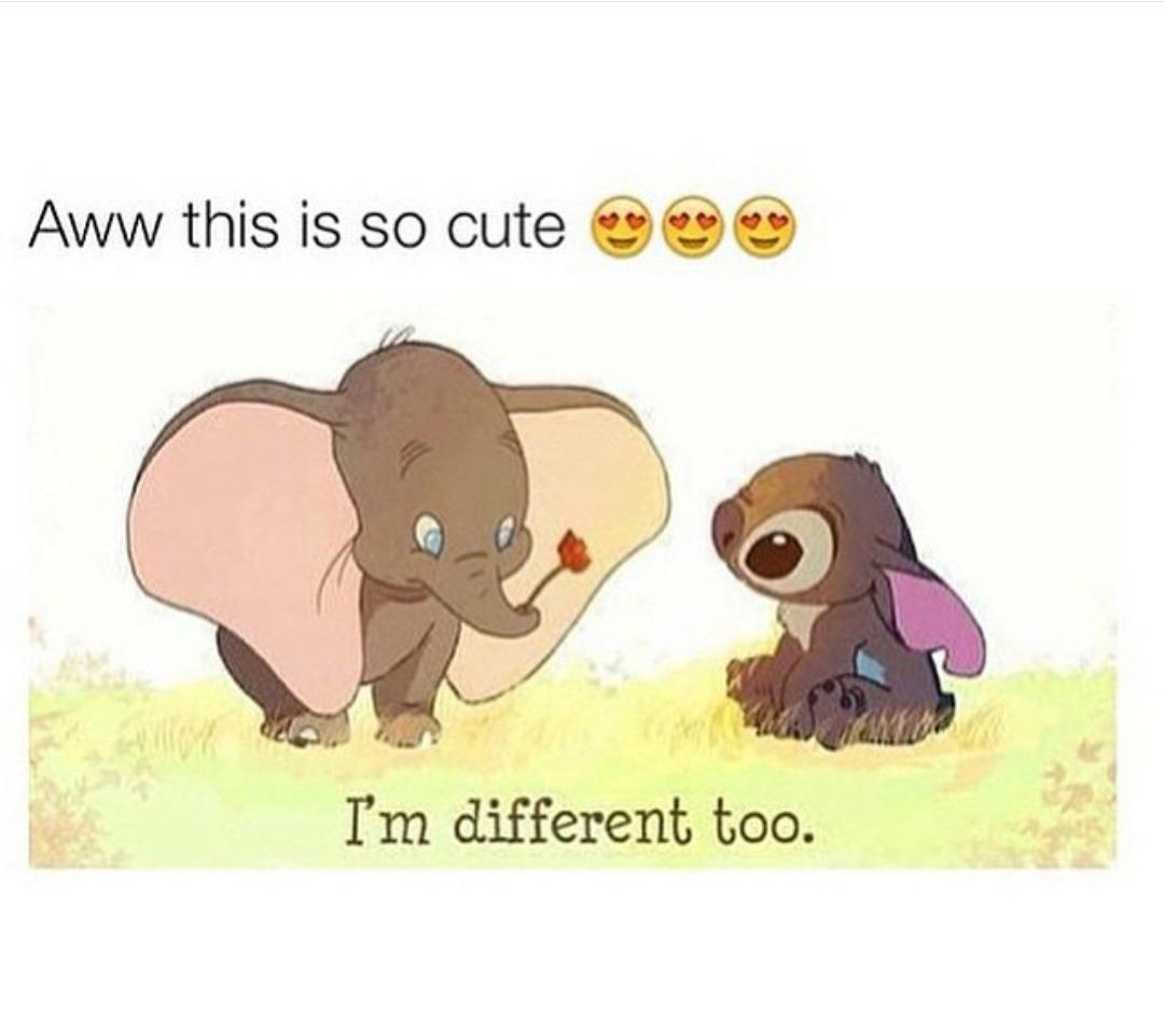 BawnkDating's tweet photo. Meet someone #amazing on bawnk! A premiere #dating site for #relationships of all types.

https://t.co/ny2pntnMgo https://t.co/zBnjR3keO5