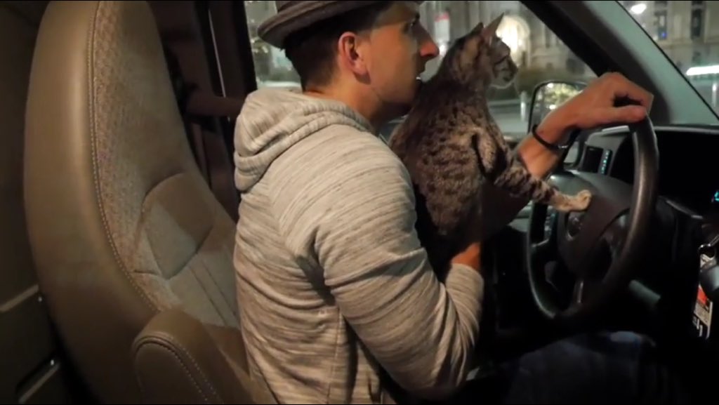 Sarah_Makari's tweet photo. #Drivela 🚙🐱
⭐️⭐️⭐️⭐️
@Jessewelle @PhillyChic5 https://t.co/oMk2ZGDaAi