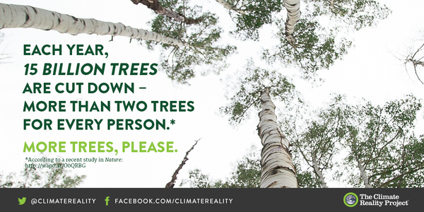 ClimateReality's tweet photo. The best technology for fighting climate change? One of the oldest: trees https://t.co/doDCvlbSmv #24HoursofReality https://t.co/aXxhgwXz1W