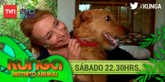 TVN's tweet photo. ¡¡Este sábado en #Kunga!! Conoceremos a los perros de Karen Doggenweiler y mucho más... 🐔🐶🐎👉 https://t.co/NnZ0YUoP0b https://t.co/7vQZhS3IUG