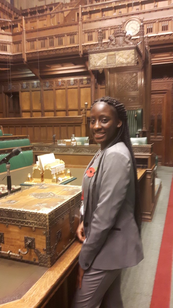 Had an amazing day at the House of Commons today with UK Youth Parliament 👐😊!   #houseofcommons  #UKYouthParliament