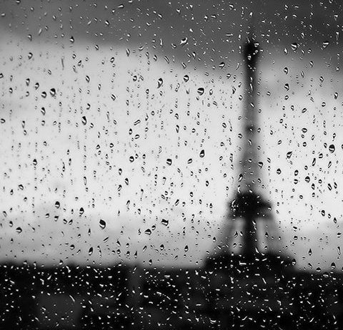 salmaGmez's tweet photo. Hoy #Paris está de luto.
Nosotros también. #TodosConParis https://t.co/aWAp1qBugS