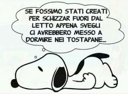 Panichi Stefano (@panichistefano) on Twitter photo 