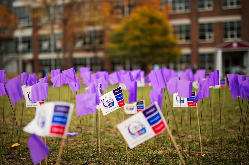Northeastern's tweet photo. From @NEURelayForLife to #VeteransDay &amp; more, check out some of this week’s highlights https://t.co/Dlvp0pqgi4 https://t.co/rZAavHlBvA
