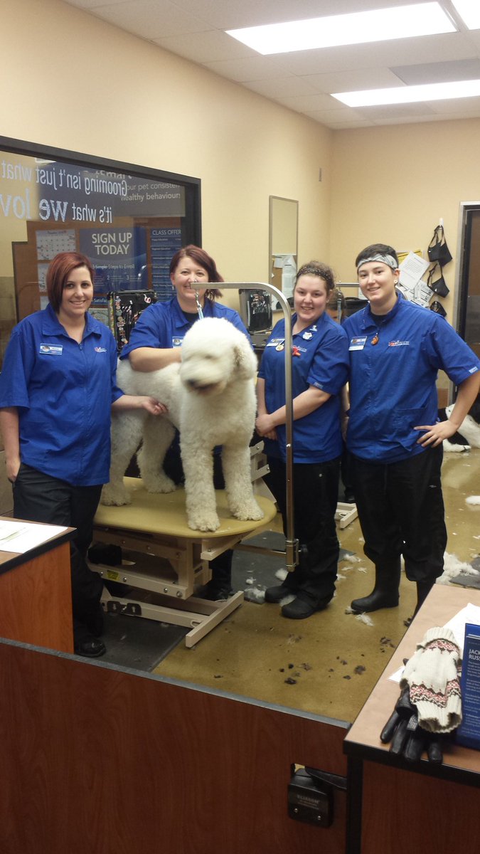 PetSalonMan's tweet photo. Congratulations to our new PGA graduates!  #inspiredbypets #canadapetm https://t.co/5xauRmgVuA