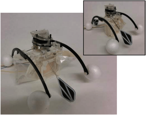 Gizmodo's tweet photo. This little bot walks on water and runs on bacteria: https://t.co/7CflmwuNQ1 https://t.co/NKfgqgbZsn