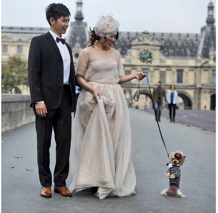 LilLolaSunshine's tweet photo. Something borrowed. #Paris #Wedding #๐ฐ #๐ #StreetStyleDogs ๐ท:@thedogstyler #LittleLolaSunshine #LolaLovesParis https://t.co/licb9WcPrP