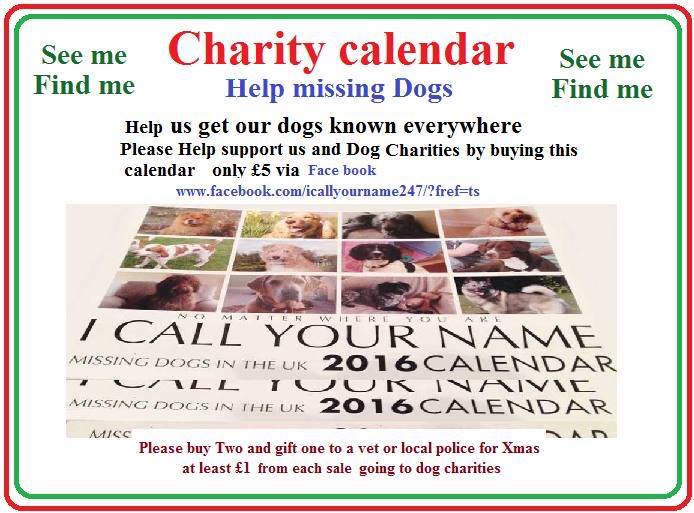 Icallurname's tweet photo. @ferretfanatics Pls rt &amp; buy charity missing dogs calendar 12 mummies miss their babies #pogdogs #Christmas #dog https://t.co/Io3ZoQOQ4c