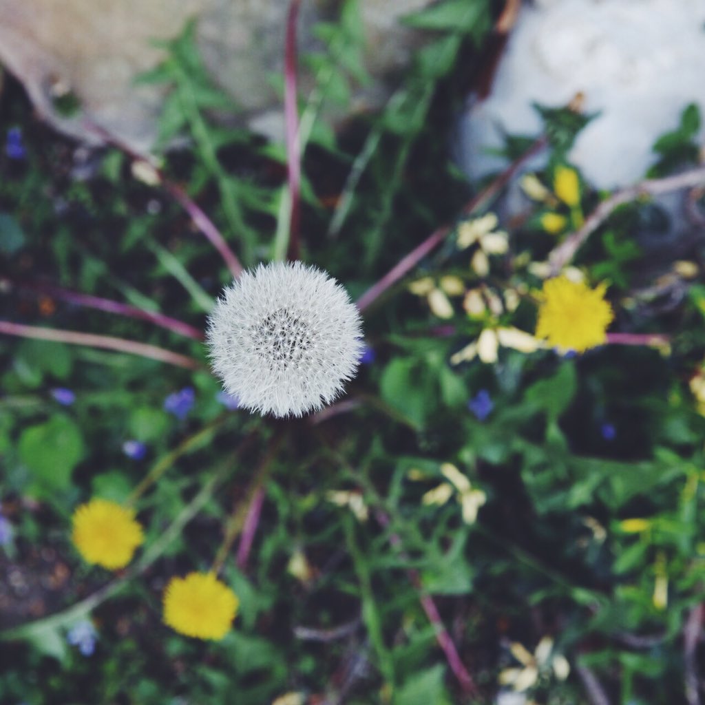 The color green. Copyright Amy Kenyon Photography.