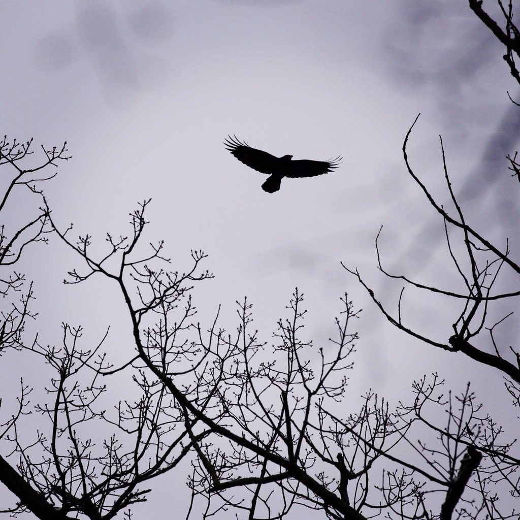 Radom photos. Copyright Amy Kenyon Photography.