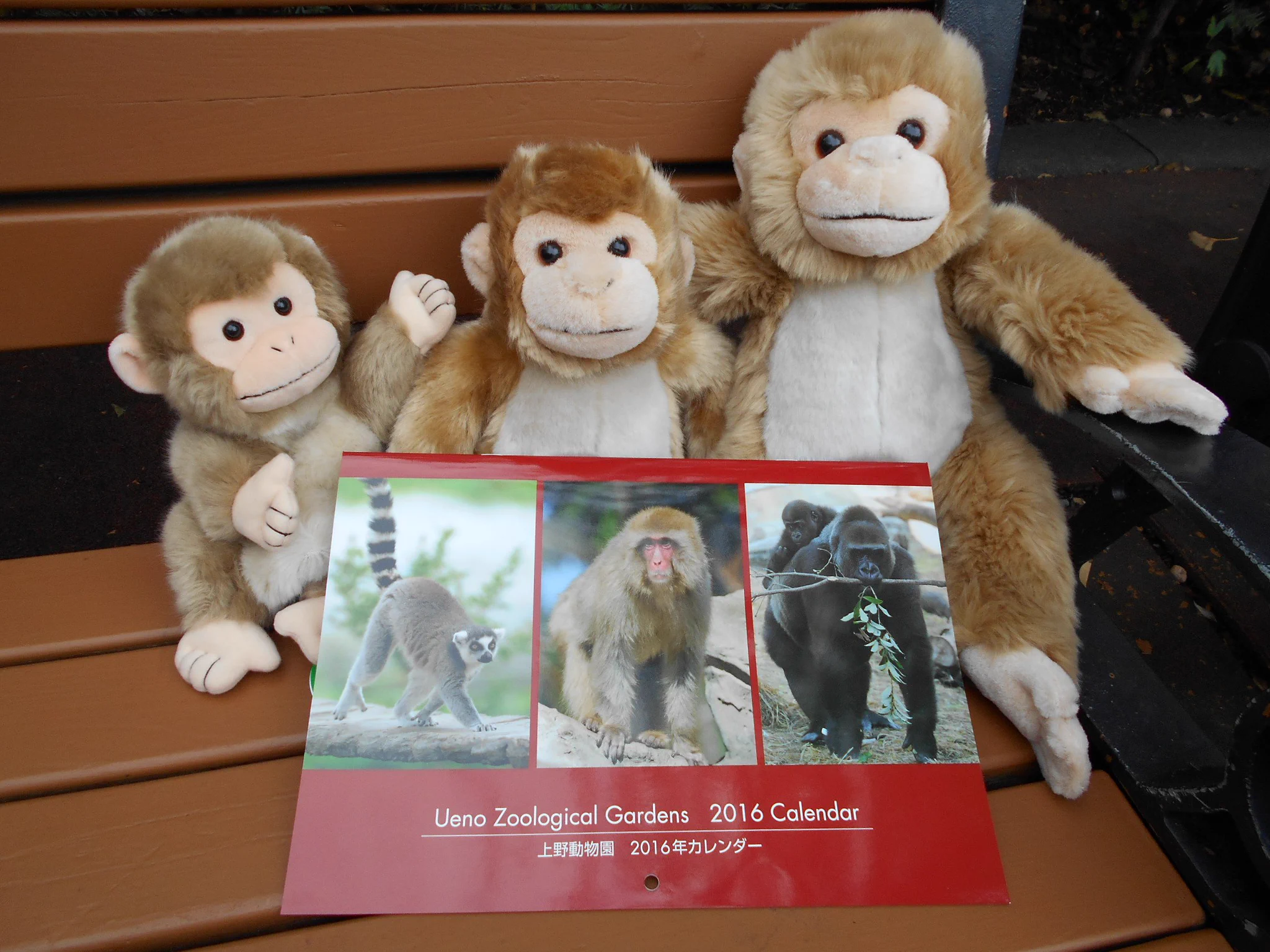  さるのぬいぐるみ 上野動物園［公式］ on X: 