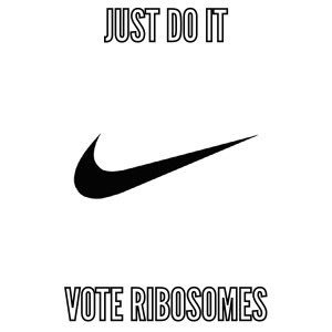 5thRibosomes's tweet photo. GUESS WHAT?!? We are in ALL cells! That make us important! #justdoit #voteribosomes #organellewars @TallBiology https://t.co/oFVC0YXKqu