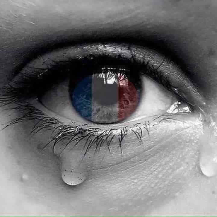 Revista Decosta (@revistadecosta) on Twitter photo 